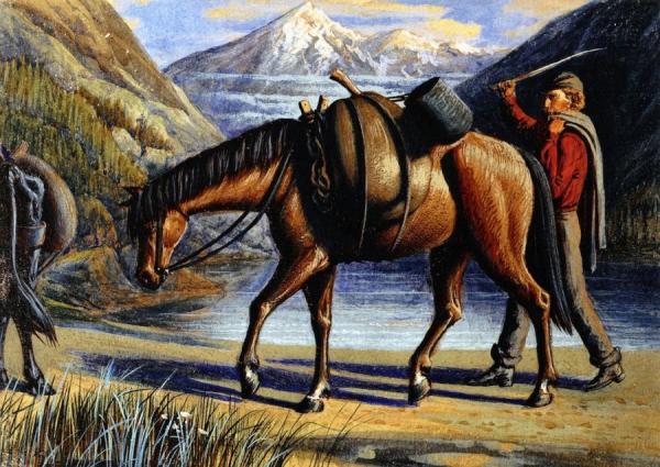 Pack Horse, Athabaska River, Rocky Mountains by William George Richardson Hind