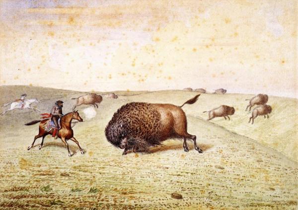 William Hind Meeting A Buffalo by William George Richardson Hind