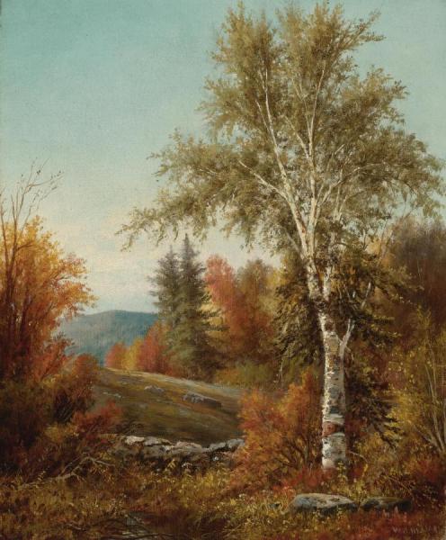 A Birch Tree By A Stone Wall by William Henry Hilliard