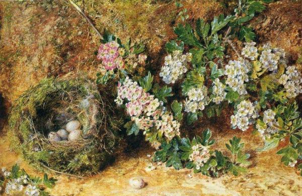 William Henry Hunt Chaffinch Nest And May Blossom