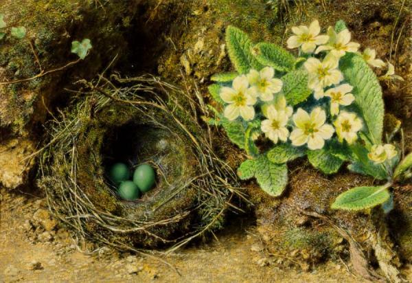 William Henry Hunt Primroses And Bird's Nest