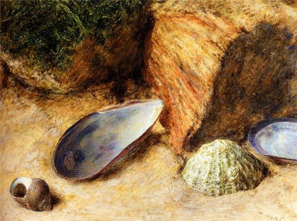Still Life With Sea Shells On A Mossy Bank by William Henry Hunt Oil Painting Reproductions