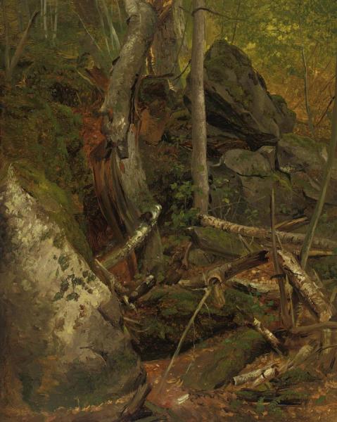 Deep In The Forest by William Holbrook Beard Oil Painting Reproductions