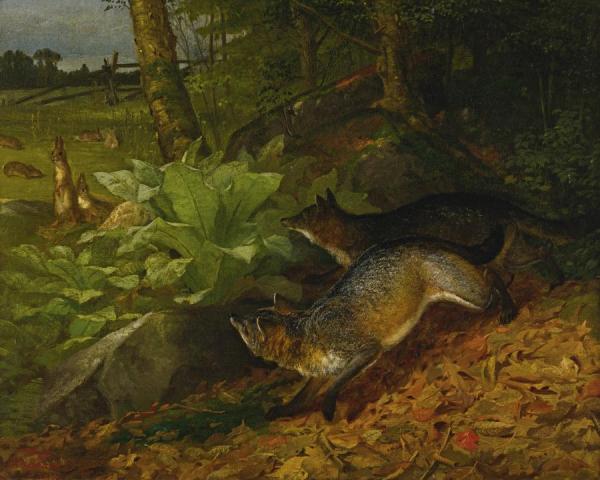 Foxes And Rabbits by William Holbrook Beard Oil Painting Reproductions