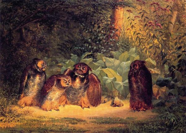 Owls by William Holbrook Beard