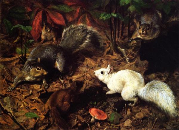 Squirrels by William Holbrook Beard