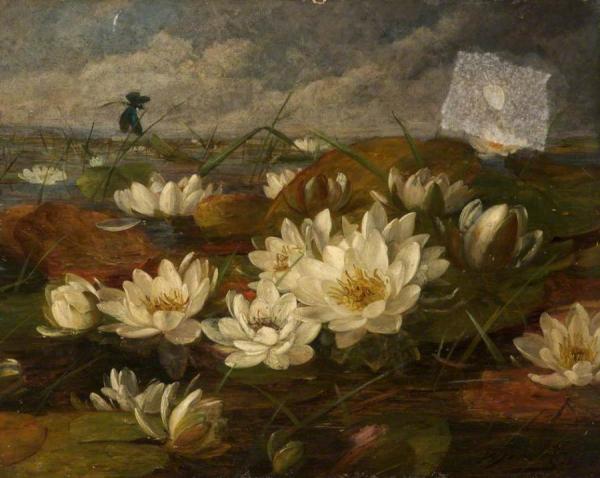 William Jabez Muckley Water Lilies