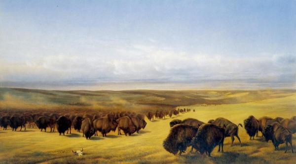 The Gathering Of The Herds by William Jacob Hays Oil Painting Reproductions