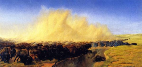 The Stampede by William Jacob Hays