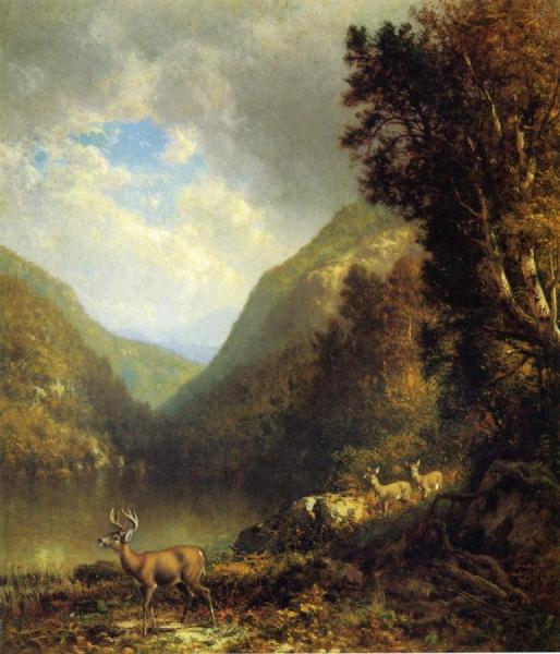 Deer In The Adirondacks by William M. Hart