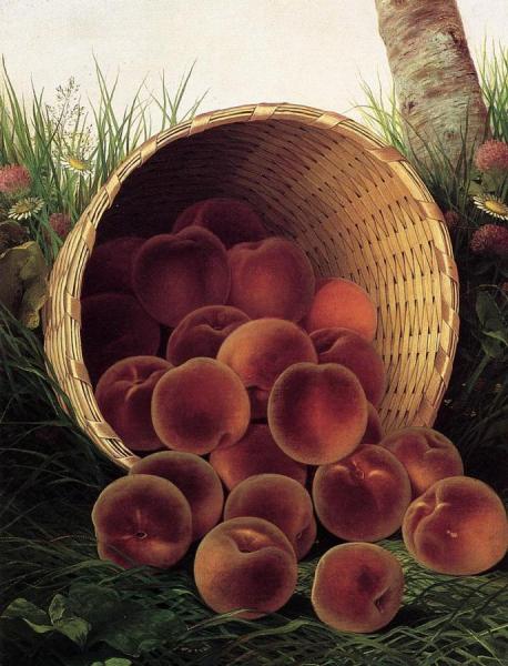 Peaches In An Upturned Basket by William Mason Brown
