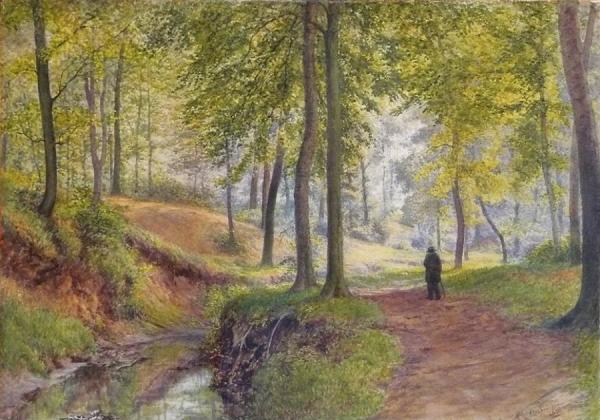 A Woodland Walk by William Robinson