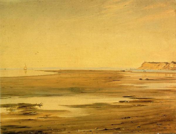 Crane Neck Across The Marsh by William Sidney Mount