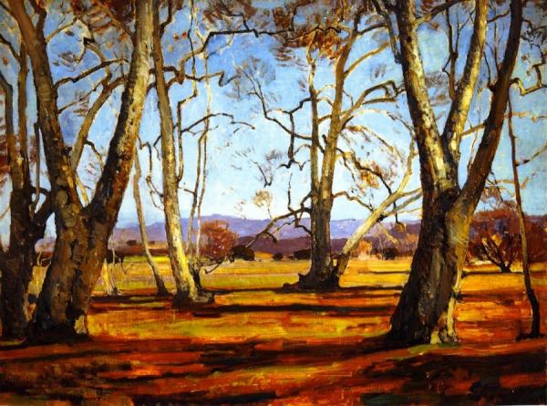 Sycamores by William Wendt