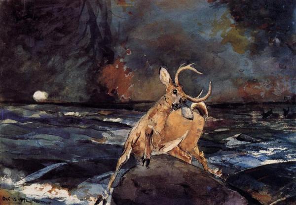 A Good Shot, Adirondacks by Winslow Homer