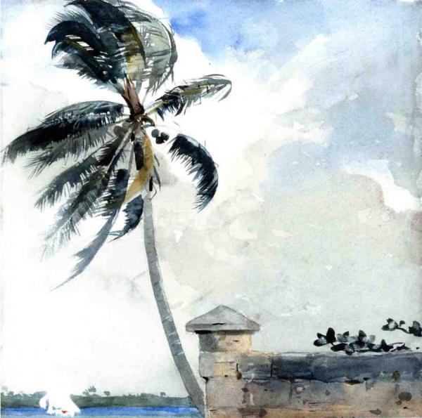 A Tropical Breeze, Nassau by Winslow Homer