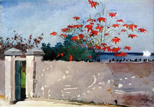 A Wall, Nassau by Winslow Homer