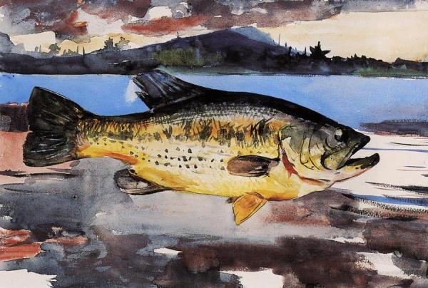 Bass by Winslow Homer