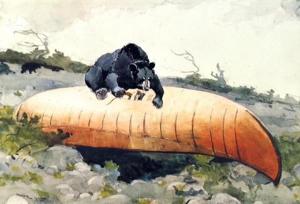 Bear And Canoe by Winslow Homer