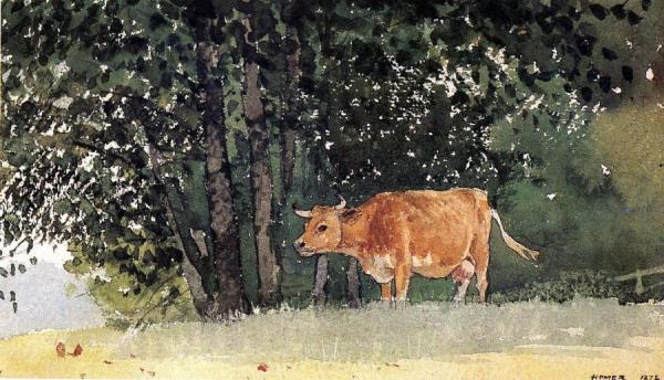 Cow In Pasture by Winslow Homer