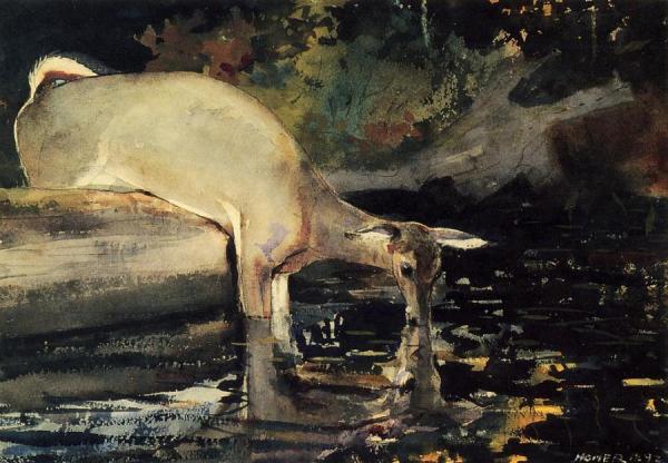 Deer Drinking by Winslow Homer