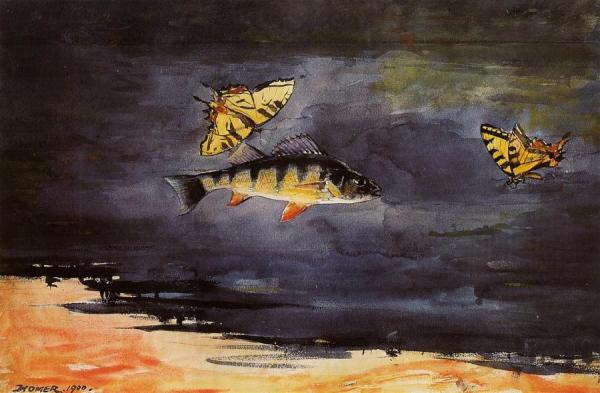 Fish And Butterflies by Winslow Homer