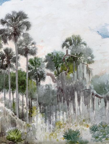 Florida Jungle by Winslow Homer