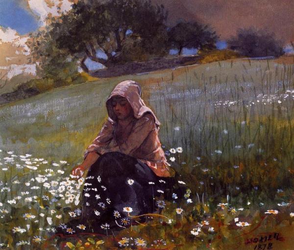 Girl And Daisies by Winslow Homer