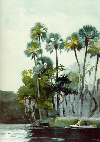 Homosassa River by Winslow Homer