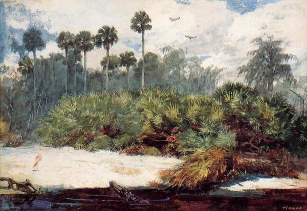 In A Florida Jungle by Winslow Homer