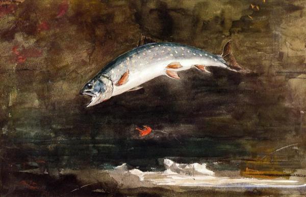 Jumping Trout by Winslow Homer