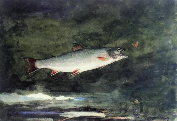 Leaping Trout by Winslow Homer Oil Painting Reproductions