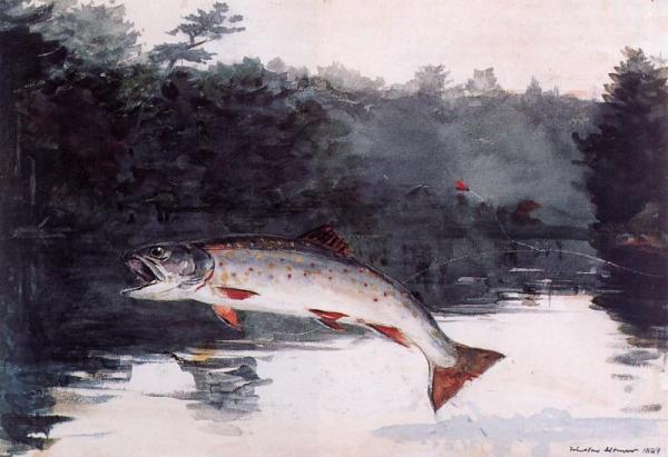 Leaping Trout by Winslow Homer