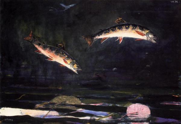 Leaping Trout by Winslow Homer
