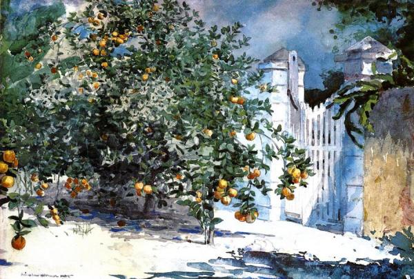 Orange Tree, Nassau by Winslow Homer