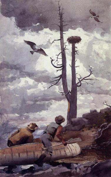 Osprey's Nest by Winslow Homer