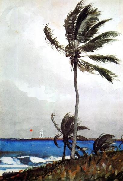 Palm Tree, Nassau by Winslow Homer Oil Painting Reproductions