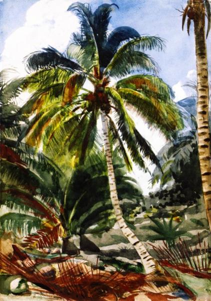 Palm Trees, Bahamas by Winslow Homer Oil Painting Reproductions