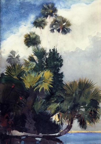 Palm Trees, Florida by Winslow Homer
