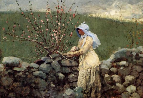 Peach Blossoms by Winslow Homer