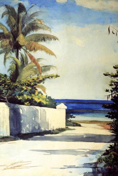 Road In Nassau by Winslow Homer
