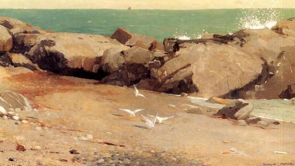 Rocky Coast And Gulls by Winslow Homer