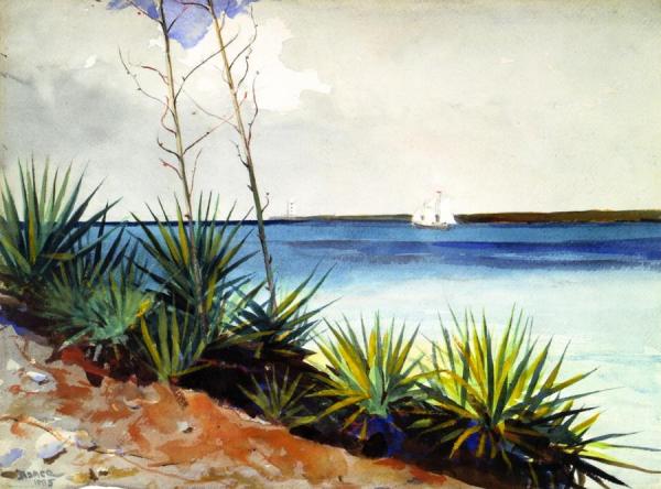 Spanish Bayonets by Winslow Homer