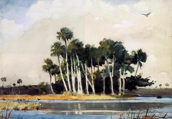 The Turkey Buzzard by Winslow Homer