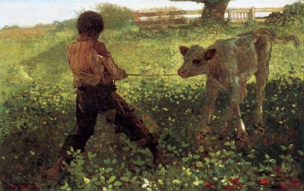 The Unruly Calf by Winslow Homer