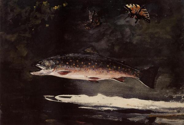 Trout Breaking by Winslow Homer