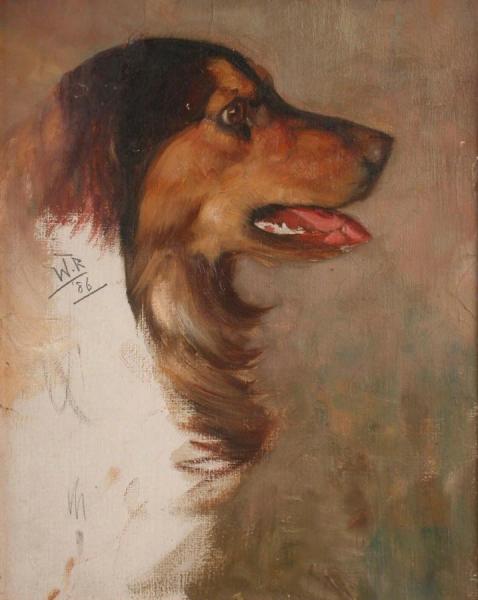 A Study Of A Collie by Wright Barker