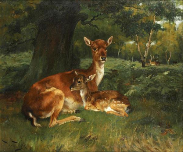 Doe & Fawn In Forest Landscape by Wright Barker Oil Painting Reproductions