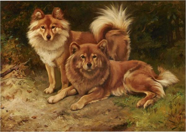 Two Finnish Spitz by Wright Barker Oil Painting Reproductions
